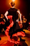 activite flamenco