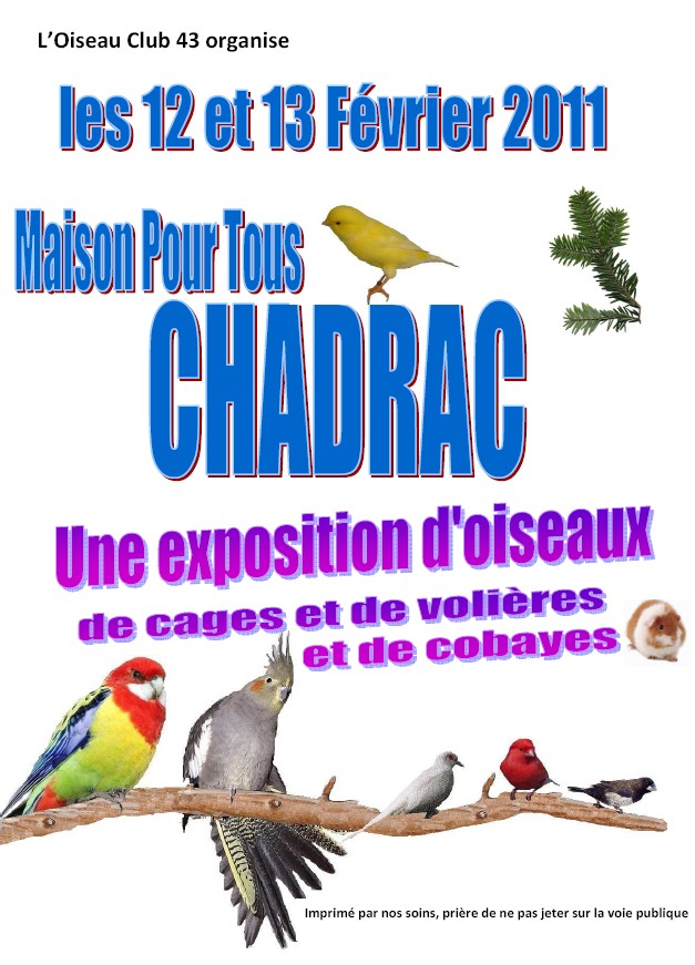 L’association Oiseaux club expose !